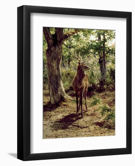 Stag on Alert in Wooded Clearing-Rosa Bonheur-Framed Giclee Print