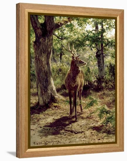 Stag on Alert in Wooded Clearing-Rosa Bonheur-Framed Premier Image Canvas