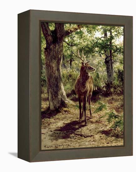 Stag on Alert in Wooded Clearing-Rosa Bonheur-Framed Premier Image Canvas