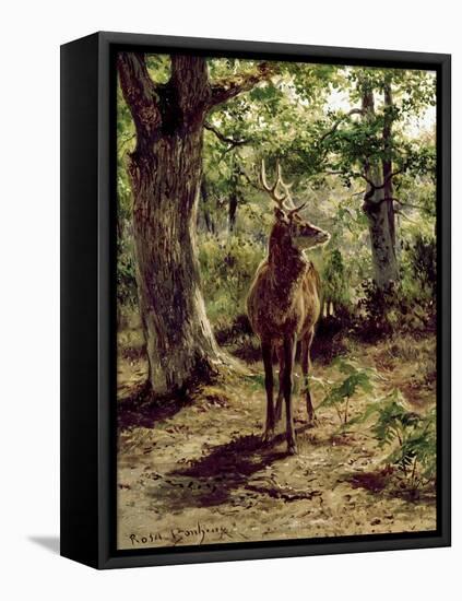 Stag on Alert in Wooded Clearing-Rosa Bonheur-Framed Premier Image Canvas