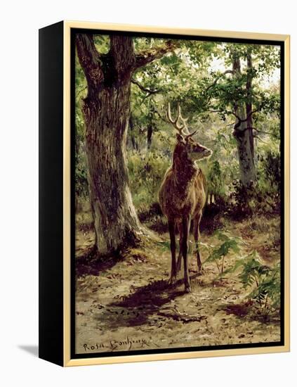 Stag on Alert in Wooded Clearing-Rosa Bonheur-Framed Premier Image Canvas