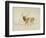 Stag (Pen & Brown Ink & Brown Wash on Cream Wove Paper)-Edwin Landseer-Framed Giclee Print