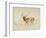 Stag (Pen & Brown Ink & Brown Wash on Cream Wove Paper)-Edwin Landseer-Framed Giclee Print