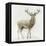 Stag v.2-James Wiens-Framed Stretched Canvas