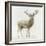 Stag v.2-James Wiens-Framed Art Print