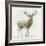 Stag v.2-James Wiens-Framed Art Print