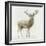 Stag v.2-James Wiens-Framed Art Print