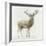 Stag v.2-James Wiens-Framed Art Print