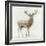 Stag v.2-James Wiens-Framed Art Print