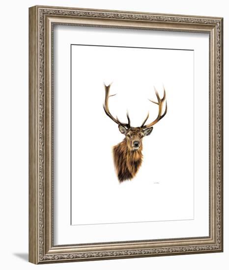 Stag White Background-Sarah Stribbling-Framed Art Print