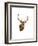 Stag White Background-Sarah Stribbling-Framed Art Print