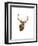 Stag White Background-Sarah Stribbling-Framed Art Print