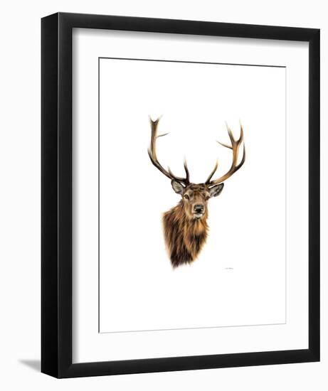 Stag White Background-Sarah Stribbling-Framed Art Print