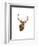 Stag White Background-Sarah Stribbling-Framed Art Print