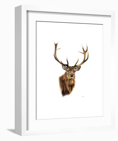 Stag White Background-Sarah Stribbling-Framed Art Print