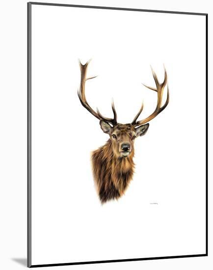 Stag White Background-Sarah Stribbling-Mounted Art Print