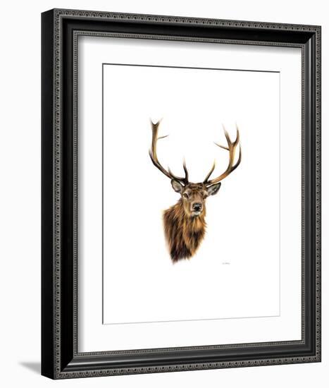 Stag White Background-Sarah Stribbling-Framed Art Print