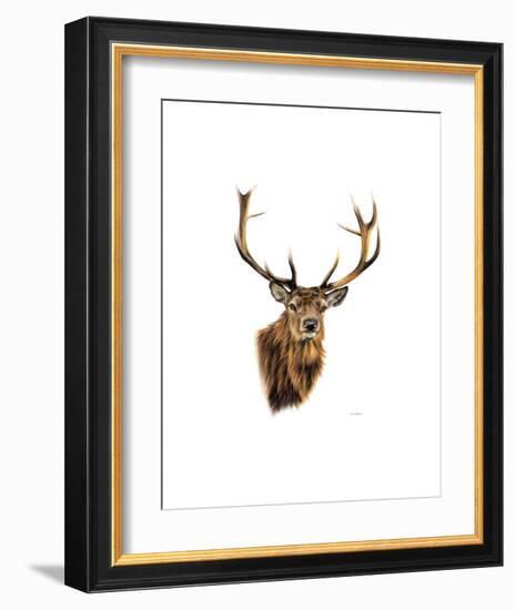 Stag White Background-Sarah Stribbling-Framed Art Print