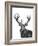 Stag-Lucy Francis-Framed Giclee Print