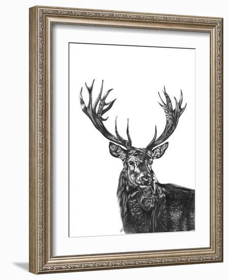 Stag-Lucy Francis-Framed Giclee Print