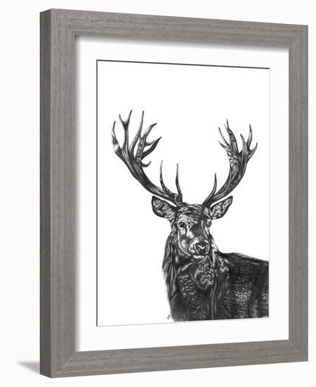 Stag-Lucy Francis-Framed Giclee Print