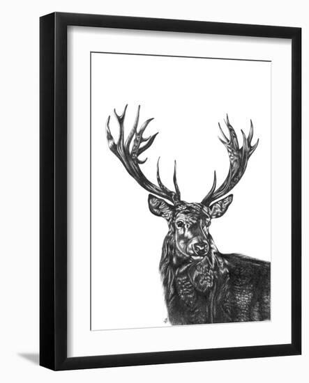 Stag-Lucy Francis-Framed Giclee Print