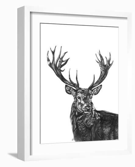 Stag-Lucy Francis-Framed Giclee Print