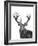 Stag-Lucy Francis-Framed Giclee Print