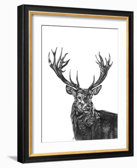 Stag-Lucy Francis-Framed Giclee Print