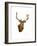 Stag-Sarah Stribbling-Framed Art Print