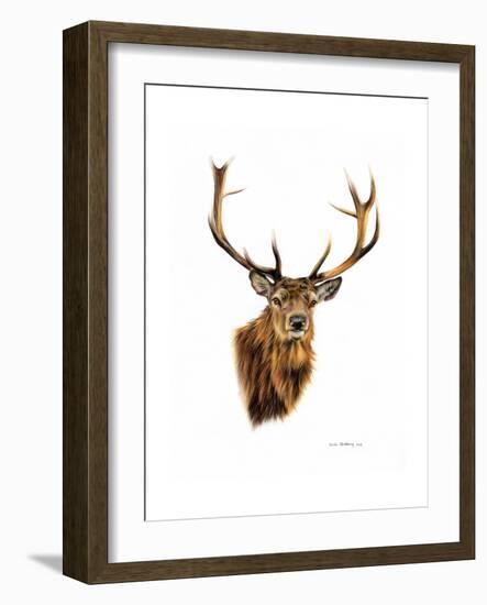 Stag-Sarah Stribbling-Framed Art Print