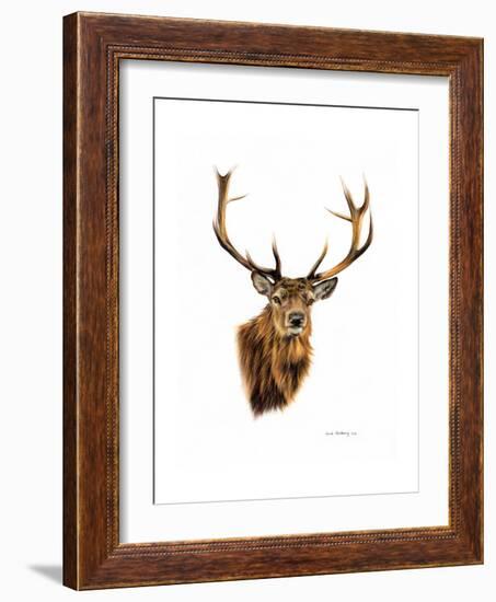 Stag-Sarah Stribbling-Framed Art Print