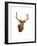 Stag-Sarah Stribbling-Framed Art Print