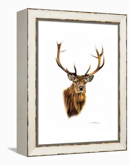 Stag-Sarah Stribbling-Framed Stretched Canvas