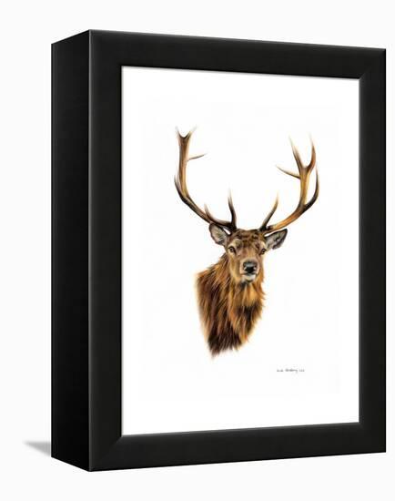 Stag-Sarah Stribbling-Framed Stretched Canvas