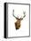 Stag-Sarah Stribbling-Framed Stretched Canvas