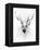 Stag-Alexis Marcou-Framed Stretched Canvas