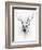 Stag-Alexis Marcou-Framed Art Print