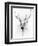 Stag-Alexis Marcou-Framed Art Print