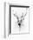 Stag-Alexis Marcou-Framed Art Print