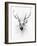 Stag-Alexis Marcou-Framed Art Print