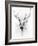 Stag-Alexis Marcou-Framed Art Print