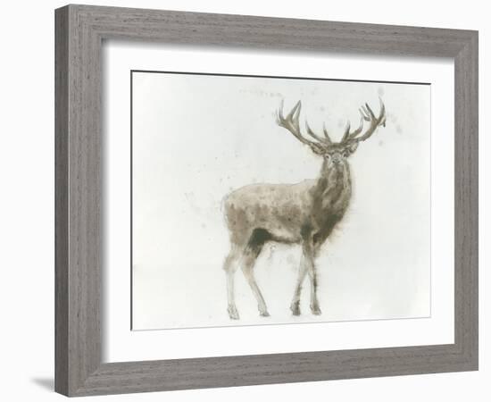 Stag-James Wiens-Framed Art Print