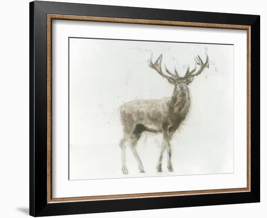 Stag-James Wiens-Framed Art Print