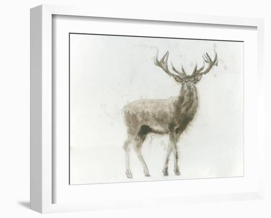 Stag-James Wiens-Framed Art Print