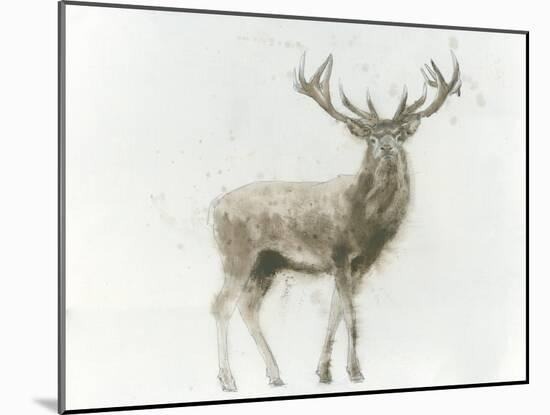 Stag-James Wiens-Mounted Art Print
