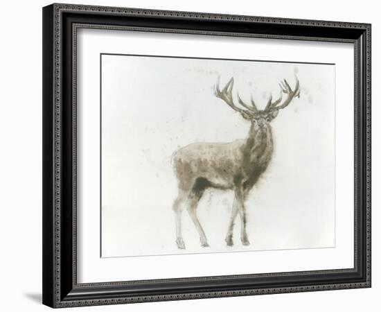 Stag-James Wiens-Framed Art Print