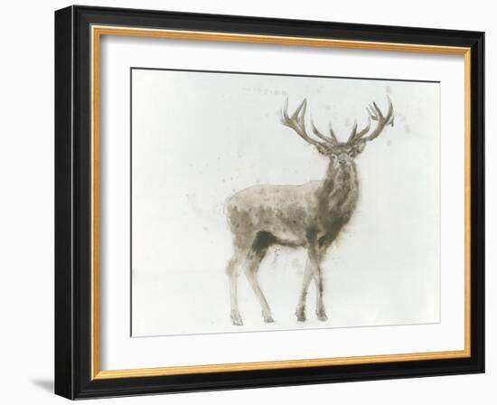 Stag-James Wiens-Framed Art Print