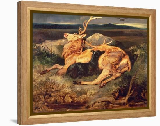 Stag-Edwin Henry Landseer-Framed Premier Image Canvas