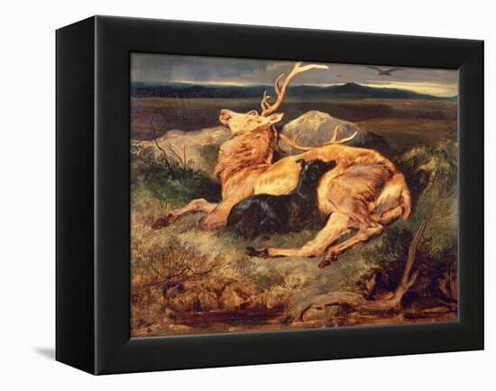 Stag-Edwin Henry Landseer-Framed Premier Image Canvas